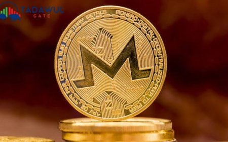 مونيرو (XMR) يقفز بأكثر من 50% مع تزايد الطلب على عملات الخصوصية