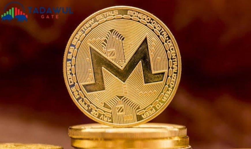 مونيرو (XMR) يقفز بأكثر من 50% مع تزايد الطلب على عملات الخصوصية